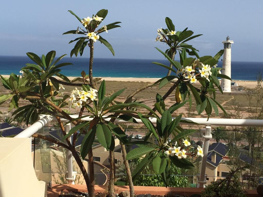 Terrazas De Jandia Apartment Morro Jable  Bagian luar foto